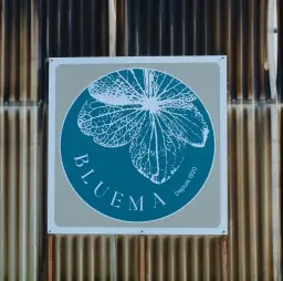 Ferme florale Bluema : pourquoi ces fleurs d'Alsace changent tout